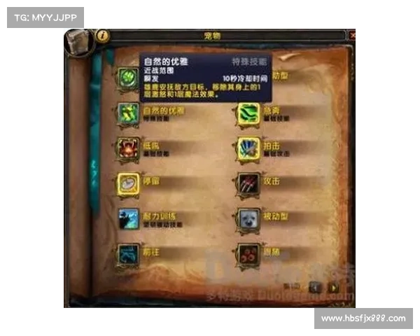 魔兽世界怀旧服:技能操作全攻略 魔兽世界怀旧服:技能操作全攻略